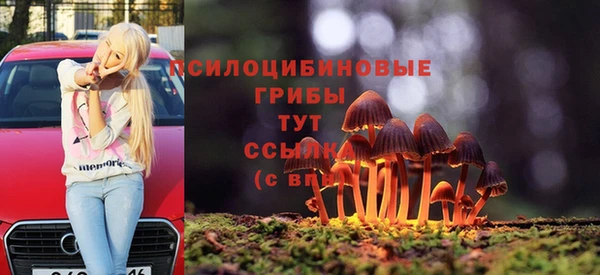эйфоретик Арсеньев