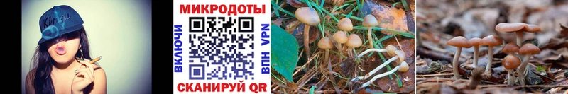 Галлюциногенные грибы MAGIC MUSHROOMS  цены наркотик  Сергач 